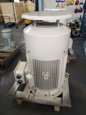 Basso motore asincrono del motore 380v IE4 della gabbia di scoiattolo di tensione dell'OEM