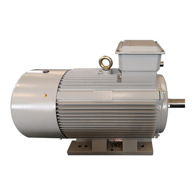 Motore a corrente alternata trifase di tensione di Ring Induction Motor Asynchronous Low di slittamento ISO9001