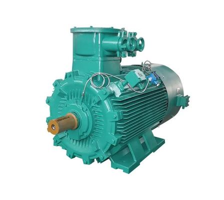 380v / 400v 3 motore elettrico protetto contro le esplosioni del ODM del motore di Palo di fase 2