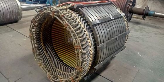 380v / 400v 3 motore elettrico protetto contro le esplosioni del ODM del motore di Palo di fase 2