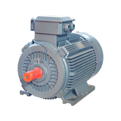 Motore asincrono trifase di bassa tensione Y1/Y2/motore di YE1 Electric Power