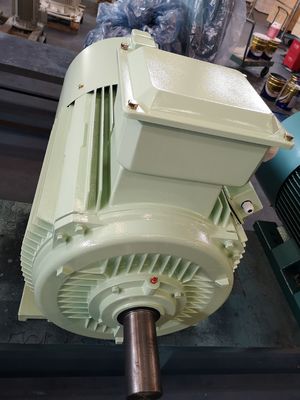 18.5kw il motore a corrente alternata trifase asincrono della gabbia di scoiattolo del motore elettrico del ghisa